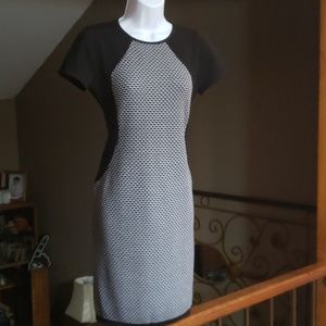 Ann Taylor Black/White Dress